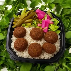 Falafel Platter